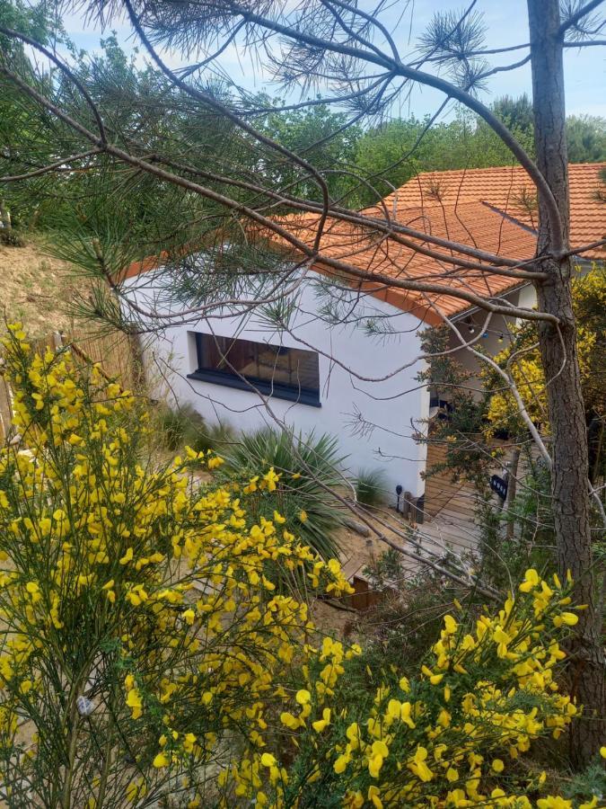 Cot'& Dune - Lodge D'Hote & Spa De Nage Saint-Augustin  Bagian luar foto